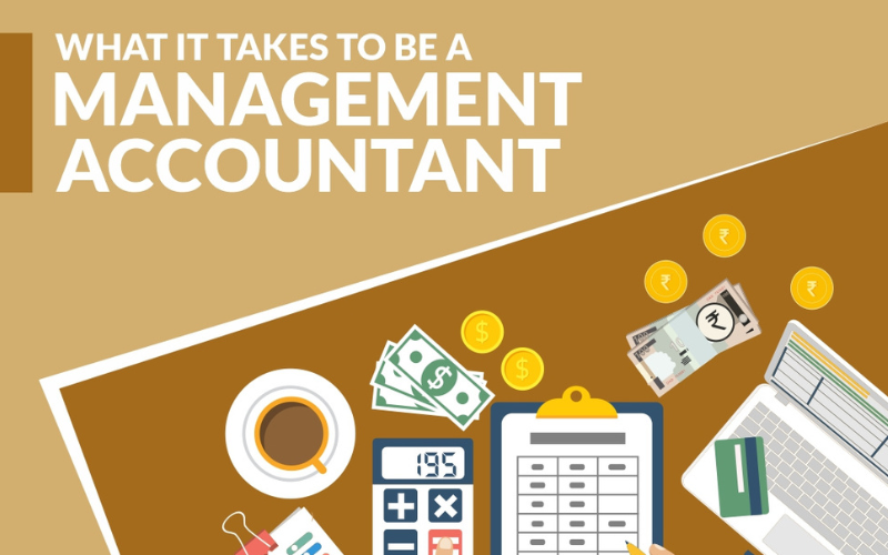 Management Accountant